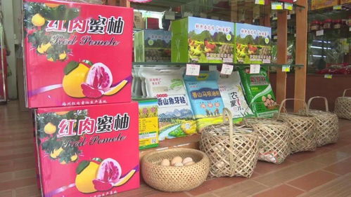 農(nóng)村電商網(wǎng)紅助力農(nóng)產(chǎn)品熱銷，促進農(nóng)民增收致富